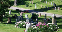 A R N Cremation Services